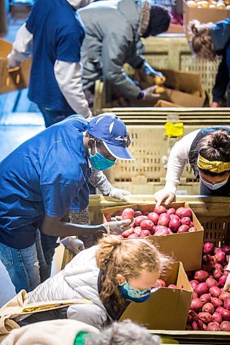 MIKAELA MACKENZIE / WINNIPEG FREE PRESS

Freedom School student Nhial Tut and other volunteers pack thousands of pounds of surplus potatoes and onions to be delivered to community members in Winnipeg on Tuesday, Oct. 13, 2020. For Kellen story.

Winnipeg Free Press 2020