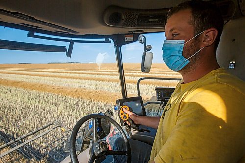 MIKE DEAL / WINNIPEG FREE PRESS
Colin Penner and his mother, Gloria, drive combines to get their canola field harvested.
See Eva Wasney story
200826 - Wednesday, August 26, 2020.