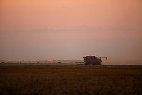 MIKE DEAL / WINNIPEG FREE PRESS
Colin Penner and his mother, Gloria, drive combines to get their canola field harvested.
See Eva Wasney story
200826 - Wednesday, August 26, 2020.