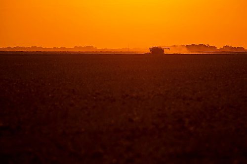 MIKE DEAL / WINNIPEG FREE PRESS
Colin Penner and his mother, Gloria, drive combines to get their canola field harvested.
See Eva Wasney story
200826 - Wednesday, August 26, 2020.