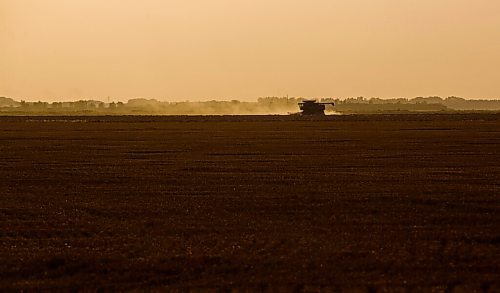 MIKE DEAL / WINNIPEG FREE PRESS
Colin Penner and his mother, Gloria, drive combines to get their canola field harvested.
See Eva Wasney story
200826 - Wednesday, August 26, 2020.