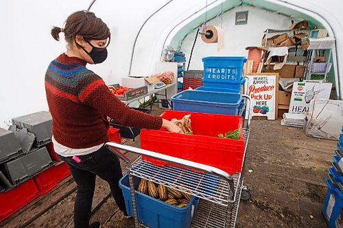 MIKE DEAL / WINNIPEG FREE PRESS
Britt Embry puts together customers orders on the farm, Hearts and Roots, she runs with her husband, Justin Girard.
See Eva Wasney story
200917 - Thursday, September 17, 2020.