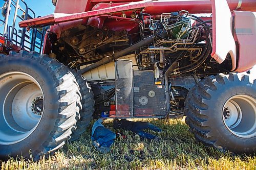 MIKE DEAL / WINNIPEG FREE PRESS
Colin Penner and his father, Calvin, underneath a combine to clear a blockage as they were harvesting oats.
See Eva Wasney story
200904 - Friday, September 04, 2020.