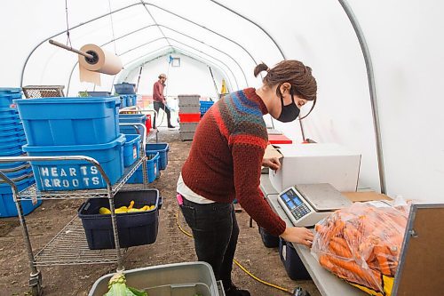 MIKE DEAL / WINNIPEG FREE PRESS
Britt Embry puts together customers orders on the farm, Hearts and Roots, she runs with her husband, Justin Girard.
See Eva Wasney story
200917 - Thursday, September 17, 2020.