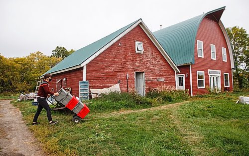 MIKE DEAL / WINNIPEG FREE PRESS
Britt Embry puts together customers orders on the farm, Hearts and Roots, she runs with her husband, Justin Girard.
See Eva Wasney story
200917 - Thursday, September 17, 2020.