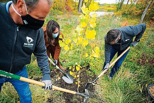 Canstar Community News City councillor John Orlikow (River Heights-Fort Garry, at left) participated in a tree-planting event with Mayor Brian Bowman (right) on National Tree Day.