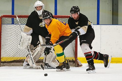 JOHN WOODS / WINNIPEG FREE PRESS
Purple Reign (yellow) vs Slapshots plays in division 3 of the Winnipeg Rec Hockey League at Seven Oaks Arena Monday, October 19, 2020. 

Reporter: Sawatzky