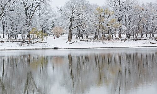 MIKE DEAL / WINNIPEG FREE PRESS
A person out for a walk in Fraser's Grove Park along the Red River, Wednesday morning, after the first snowfall of the season left over 5 centimetres on the ground.
201021 - Wednesday, October 21, 2020.