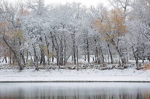 MIKE DEAL / WINNIPEG FREE PRESS
A jogger runs through Fraser's Grove Park along the Red River, Wednesday morning, after the first snowfall of the season left over 5 centimetres on the ground.
201021 - Wednesday, October 21, 2020.