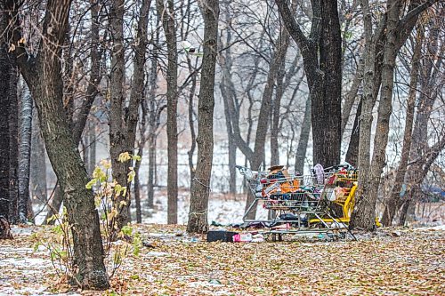 MIKAELA MACKENZIE / WINNIPEG FREE PRESS

A homeless encampment along the river near the Granite Curling Club in Winnipeg on Tuesday, Oct. 27, 2020. For --- story.

Winnipeg Free Press 2020