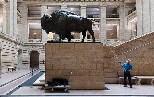 MIKE DEAL / WINNIPEG FREE PRESS
August Gilo with building maintenance at the Manitoba Legislative building cleans one of the two bison that line the grand staircase Wednesday afternoon.
201028 - Wednesday, October 28, 2020.