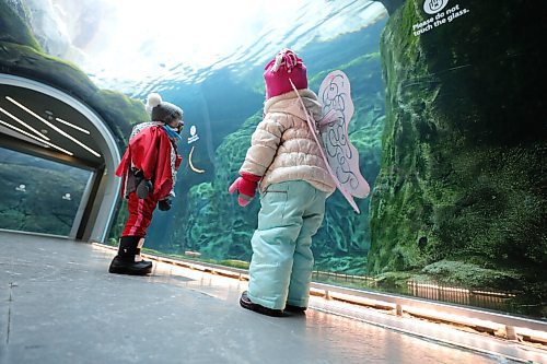 RUTH BONNEVILLE / WINNIPEG FREE PRESS

Local - Zoo Halloween Spooktacular 

Leni Eliasson (left) and her young friend check out the seal tank looking for seals while in their Halloween costume at the Journey to Churchill exhibit at the Zoo Thursday. 

The Zoo is open for kids of all ages to dress in your favourite costume and join in on some Halloween fun this weekend (October 29-31).

 See Kellan's story.

Oct 29th,, 2020