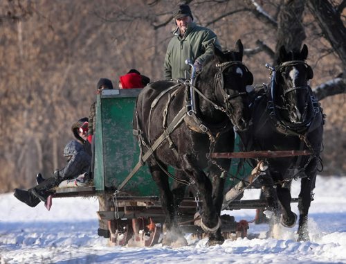 Brandon Sun Terry Marshall guides a pair of horses as children and staff from the Little Teaching Lodge day care take a sleigh ride, Thursday afternoon near Eleanor Kidd Park. The facility held its annual Christmas party, with the recent cold snap lifting in time for the event. (Colin Corneau/Brandon Sun)