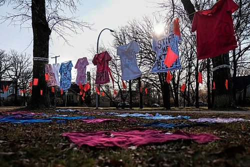 Daniel Crump / Winnipeg Free Press. A protest art instalment on the boulevard at wellington crescent set up by concerned health care workers. November 7, 2020.