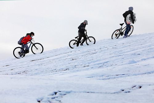 RUTH BONNEVILLE / WINNIPEG FREE PRESS

Local - Sno much fun! Standup

Three teenage boys push their bikes up the snowy hill at Victoria Jason Park in Transcona to ride down the other side after school Friday. 

Nov 20th,  2020