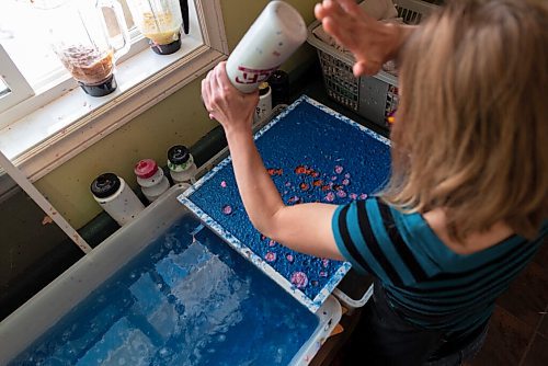 JESSE BOILY  / WINNIPEG FREE PRESS
Milli Flaig-Hooper, an artist who makes their own paper creating mixed media pieces, adds some different coloured pulp to a piece she is making in their home studio in Matlock on Sunday. Sunday, Nov. 22, 2020.
Reporter: Dave