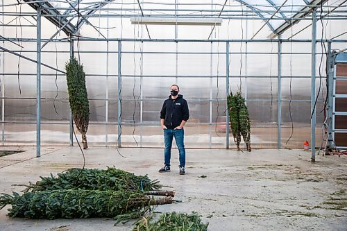 MIKAELA MACKENZIE / WINNIPEG FREE PRESS

Jordan Hiebert, co-owner of Lacoste Garden Centre, poses for a portrait in the empty tree lot area (the trees left are pre-sold) in Winnipeg on Monday, Dec. 7, 2020. For Doug Speirs story.

Winnipeg Free Press 2020