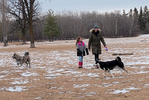JESSE BOILY  / WINNIPEG FREE PRESS
Stephanie Harris and her daughter Vayda take a walk with their dogs at the Charleswood Off Leash Dog Park on Tuesday. Tuesday, Dec. 8, 2020.
