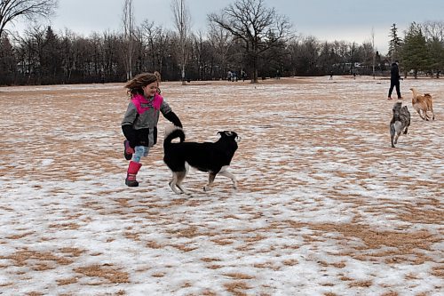 JESSE BOILY  / WINNIPEG FREE PRESS
Vayda Harris plays with her dogs at the Charleswood Off Leash Dog Park on Tuesday. Tuesday, Dec. 8, 2020.

