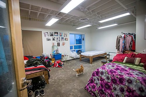 MIKAELA MACKENZIE / WINNIPEG FREE PRESS

Christopher Robin (the cat) walks through a private room at SSCOPE, a social enterprise centre in the old Neechi Commons building, in Winnipeg on Wednesday, Dec. 9, 2020. For Katie/Dylan story.

Winnipeg Free Press 2020