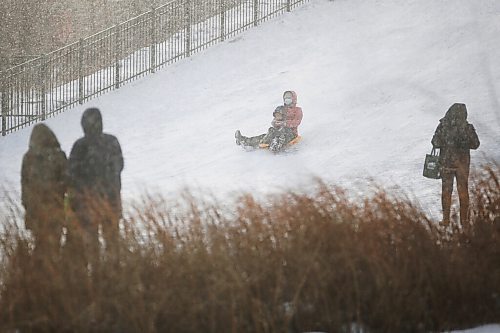 JOHN WOODS / WINNIPEG FREE PRESS
Parents look on as children sled at Assiniboine Park Sunday, December 13, 2020. 

Reporter: Standup