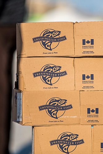 MIKAELA MACKENZIE / WINNIPEG FREE PRESS

Volunteers give away boxes of pickerel to families in need, as the fish couldn't be sold internationally this year, at the Canad Inns in Winnipeg on Thursday, Dec. 17, 2020. For Cody Sellar story.

Winnipeg Free Press 2020