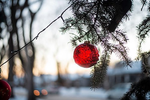 Mike Sudoma / Winnipeg Free Press
Christmas Decorations hang from a tree in River Heights Friday evening
December 18, 2020
