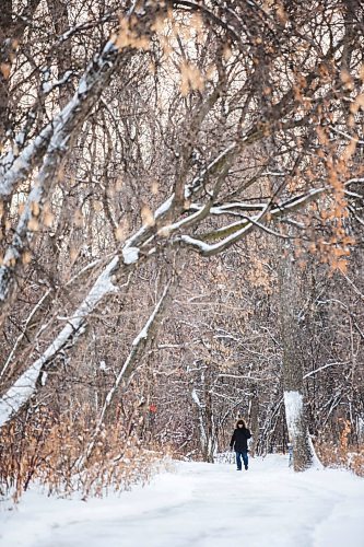 MIKAELA MACKENZIE / WINNIPEG FREE PRESS

Folks enjoy the fresh snow at Assiniboine Park in Winnipeg on Monday, Dec. 21, 2020.  Standup.

Winnipeg Free Press 2020