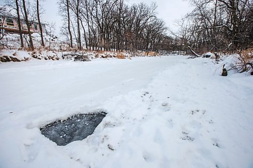 MIKAELA MACKENZIE / WINNIPEG FREE PRESS

One of a few spots where it appears the ice has fallen in and re-frozen just south of John Bruce Park on the Seine River in Winnipeg on Monday, Dec. 28, 2020. Standup.

Winnipeg Free Press 2020