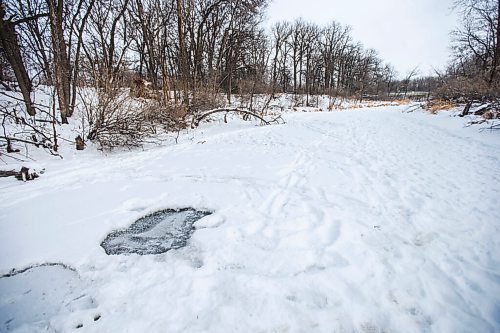 MIKAELA MACKENZIE / WINNIPEG FREE PRESS

One of a few spots where it appears the ice has fallen in and re-frozen just south of John Bruce Park on the Seine River in Winnipeg on Monday, Dec. 28, 2020. Standup.

Winnipeg Free Press 2020