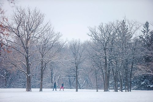 MIKAELA MACKENZIE / WINNIPEG FREE PRESS

Folks cross-country ski on the first day of the New Year at La Barriere Park on Friday, Jan. 1, 2021. Standup.

Winnipeg Free Press 2020