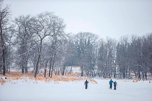 MIKAELA MACKENZIE / WINNIPEG FREE PRESS

Folks cross-country ski on the La Salle River on the first day of the New Year at La Barriere Park on Friday, Jan. 1, 2021. Standup.

Winnipeg Free Press 2020