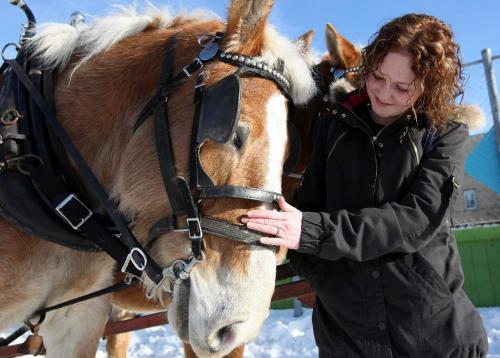 JOE.BRYKSA@FREEPRESS.MB.CA Local- Standup photo- Stefanie  Hawker meets the Belgium horses from Beaudoin Carriage Service at the West Broadway Snowball Winter Carnival held Saturday afternoon at the Broadway Neighborhood Center- Winnipegers were out in full force enjoying the unseasonably high temperatures- Jan 16, 2010 Stefanie  Hawker
JOE BRYKSA/WINNIPEG FREE PRESS