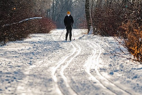 Daniel Crump / Winnipeg Free Press. A cross country skier makes their way on the classic circuit at Churchill Drive Park on Saturday afternoon. January 2, 2021.