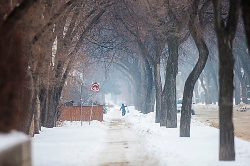 MIKAELA MACKENZIE / WINNIPEG FREE PRESS

William Pawlyk, four, plays with his shovel as his dad, Neil Pawlyk, levels out an area for a rink in their front yard in the West End in Winnipeg on Thursday, Jan. 7, 2021. Standup.

Winnipeg Free Press 2020