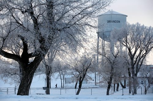 Brandon Sun 18012010 A water tower and hoar-frost covered trees frame a pedestrian walking through Rideau Park in Brandon, Man. on crisp Monday, January 18, 2010 morning.  (Tim Smith/Brandon Sun)