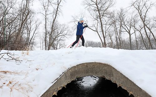 RUTH BONNEVILLE / WINNIPEG FREE PRESS

Local - Skiing standup

Diane Kristjansson makes her way across a bridge while cross-country skiing with a friend at Windsor Park Nordic Center Friday.  

The cross-country ski park is open and skiers can buy passes online at the Windsor Park website.  windsorparknordic.ca



Jan 08,. 2021