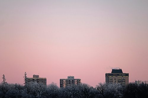 Daniel Crump / Winnipeg Free Press. Hoarfrost from a foggy morning still clings to the tops of trees on the bank of the Assiniboine river as the setting sun paints the skyline with shades of pink on Saturday evening. January 9, 2020.