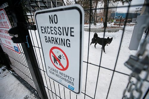 JOHN WOODS / WINNIPEG FREE PRESS
Dogs play in Bonnycastle Dog Park on Assiniboine Avenue in Winnipeg Monday, January 11, 2021. Dog parks have seen increased use during the pandemic. Some residents from the neighbouring apartment block have complained about barking at the dog park. New no excessive barking signs have been posted at the park.

Reporter: Malak