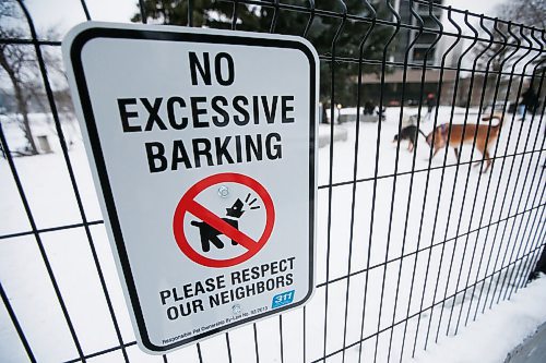 JOHN WOODS / WINNIPEG FREE PRESS
Dogs play in Bonnycastle Dog Park on Assiniboine Avenue in Winnipeg Monday, January 11, 2021. Dog parks have seen increased use during the pandemic. Some residents from the neighbouring apartment block have complained about barking at the dog park. New no excessive barking signs have been posted at the park.

Reporter: Malak