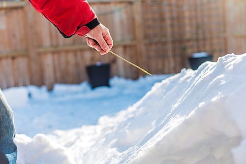 MIKAELA MACKENZIE / WINNIPEG FREE PRESS

Gordon Giesbrecht, a former wilderness instructor, and a professor of cold physiology, demonstrates how to use a stick to measure wall thickness while digging out a quinzee in Winnipeg on Wednesday, Jan. 13, 2021.  For Ben Waldman story.

Winnipeg Free Press 2021