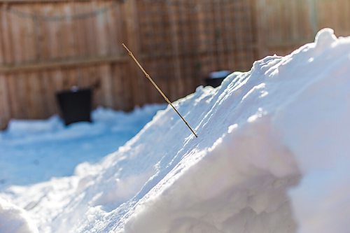 MIKAELA MACKENZIE / WINNIPEG FREE PRESS

Gordon Giesbrecht, a former wilderness instructor, and a professor of cold physiology, demonstrates how to use a stick to measure wall thickness while digging out a quinzee in Winnipeg on Wednesday, Jan. 13, 2021.  For Ben Waldman story.

Winnipeg Free Press 2021