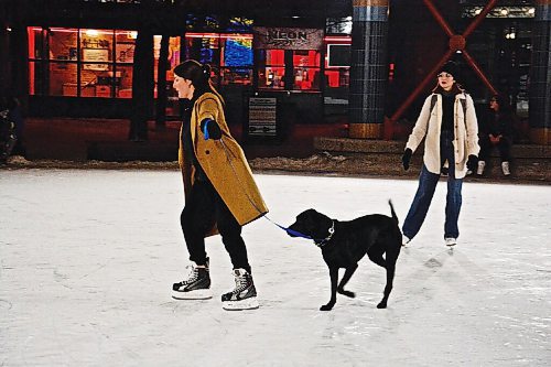 Canstar Community News Juliana and her dog Harley enjoy some quality ice-time at the Rink Under the Canopy at The Forks.