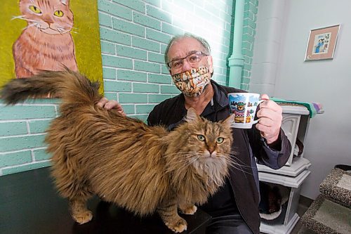 MIKE DEAL / WINNIPEG FREE PRESS
D'Arcy Johnston with Beatrice Arthur in the cat room.
Annie's Attic, Winnipeg's newest cat cafe/thrift shop, opens on Thursday. The venture is the brainchild of D'Arcy's Animal Rescue Centre, D'Arcy Johnston, and will help fund the shelter through the sale of second-hand items and food. Visitors can also hang out with adoptable animals in the cat lounge for a $5 donation.
See Eva Wasney story
210121 - Thursday, January 21, 2021.