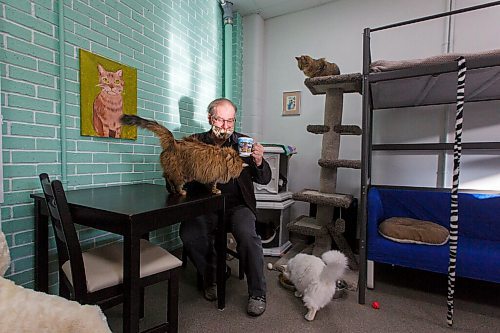 MIKE DEAL / WINNIPEG FREE PRESS
D'Arcy Johnston with the Golden Girls (from left), Beatrice Arthur, Betty White and Estelle Getty in the cat room.
Annie's Attic, Winnipeg's newest cat cafe/thrift shop, opens on Thursday. The venture is the brainchild of D'Arcy's Animal Rescue Centre, D'Arcy Johnston, and will help fund the shelter through the sale of second-hand items and food. Visitors can also hang out with adoptable animals in the cat lounge for a $5 donation.
See Eva Wasney story
210121 - Thursday, January 21, 2021.