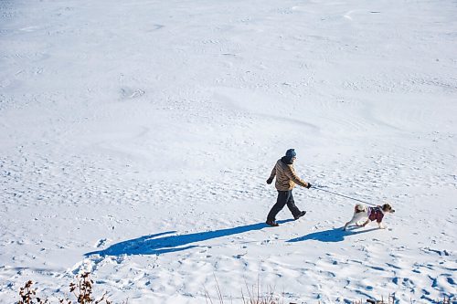 MIKAELA MACKENZIE / WINNIPEG FREE PRESS

Jason Davis and his dog, Miga, enjoy the brisk, sunny weather while walking along the riverbank at Churchill Drive Park in Winnipeg on Thursday, Jan. 21, 2021. Standup.

Winnipeg Free Press 2021