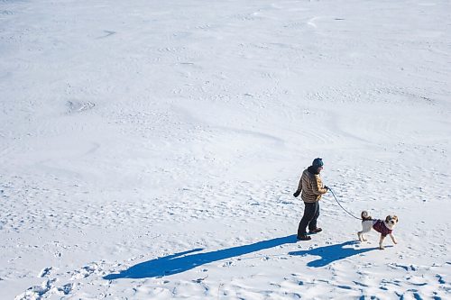 MIKAELA MACKENZIE / WINNIPEG FREE PRESS

Jason Davis and his dog, Miga, enjoy the brisk, sunny weather while walking along the riverbank at Churchill Drive Park in Winnipeg on Thursday, Jan. 21, 2021. Standup.

Winnipeg Free Press 2021