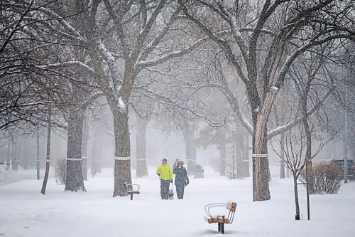 Daniel Crump / Winnipeg Free Press. Two people walk a dog on the walking path along Wellington Crescent on Saturday afternoon during a heavy snowfall. January 23, 2021.