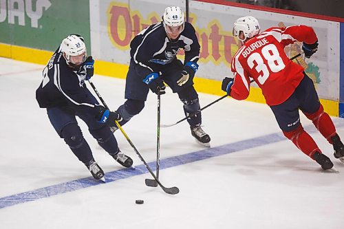 MIKE DEAL / WINNIPEG FREE PRESS
Manitoba Moose Nathan Todd (29), Brett Davis (48), and Trent Bourque (38) during training camp at BellMTS Iceplex Monday afternoon.
210125 - Monday, January 25, 2021.