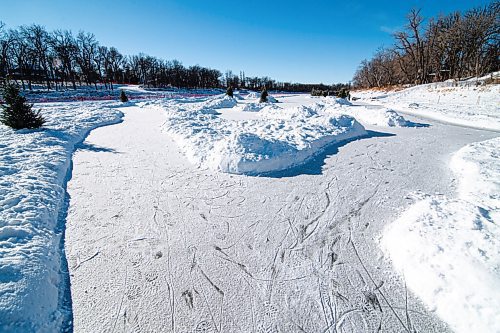 MIKE SUDOMA / WINNIPEG FREE PRESS
Pathways along the Assiniboine River trail Sunday morning
January 24, 2021